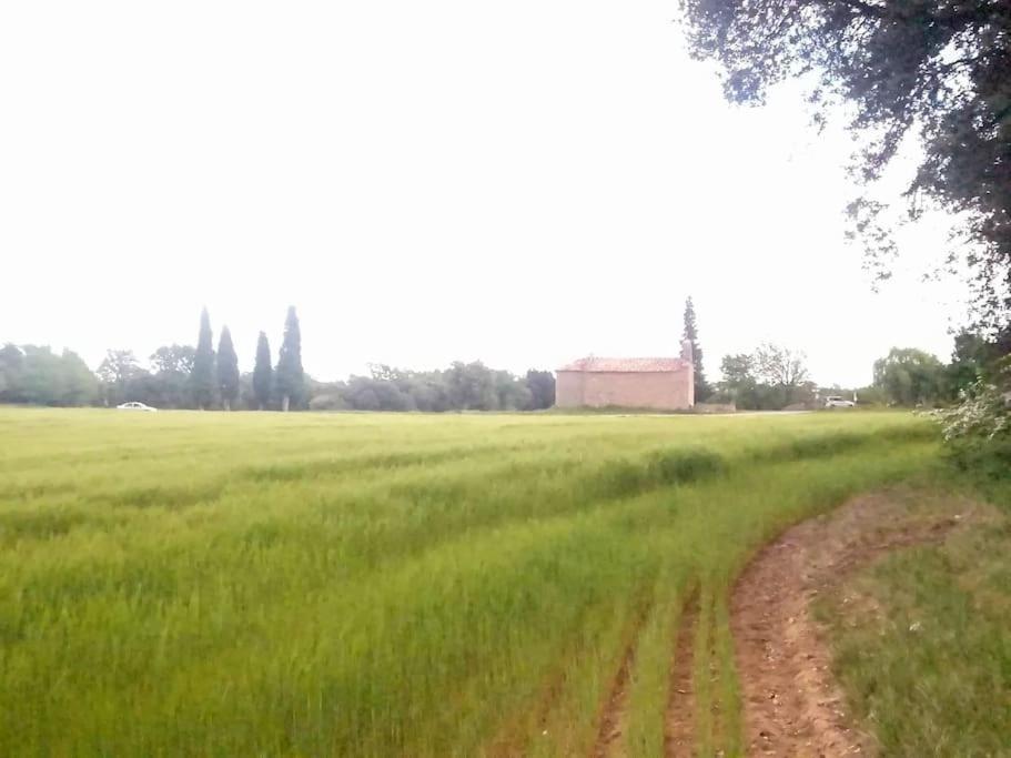 El Niuet De Cal Cacuet, La Teva Escapada Rural. Διαμέρισμα Aviá Εξωτερικό φωτογραφία
