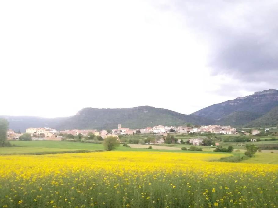 El Niuet De Cal Cacuet, La Teva Escapada Rural. Διαμέρισμα Aviá Εξωτερικό φωτογραφία