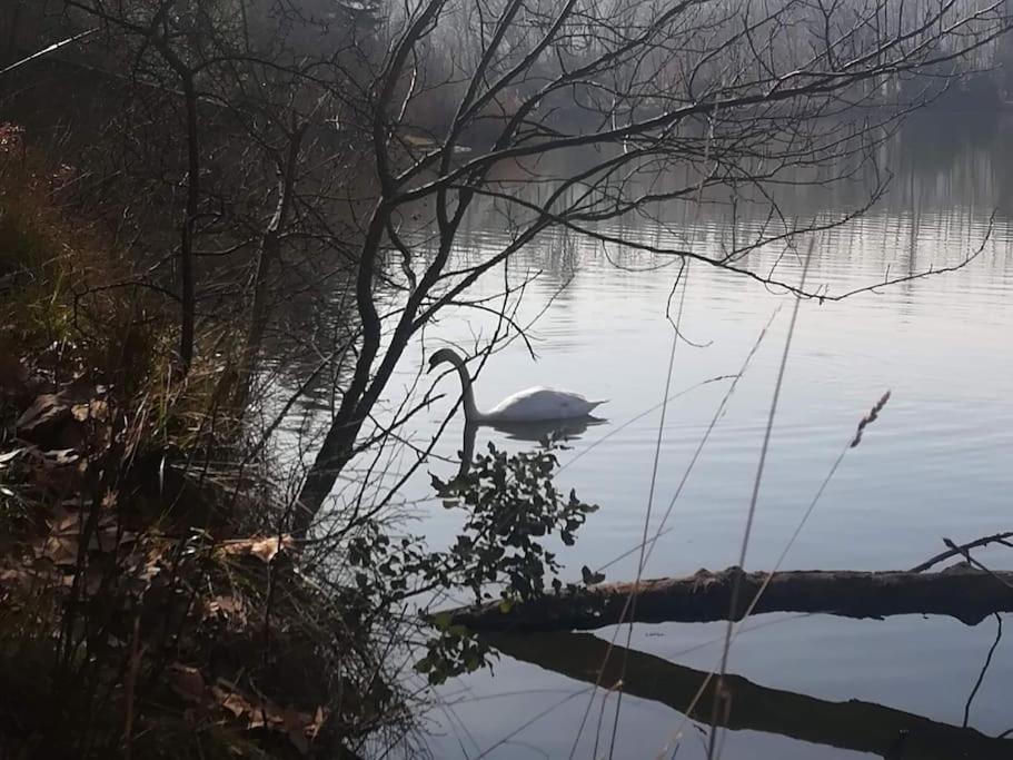 El Niuet De Cal Cacuet, La Teva Escapada Rural. Διαμέρισμα Aviá Εξωτερικό φωτογραφία